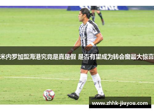 米内罗加盟海港究竟是真是假 是否有望成为转会窗最大惊喜 米内罗加盟海港究竟是真是假 是否有望成为转会窗最大惊喜